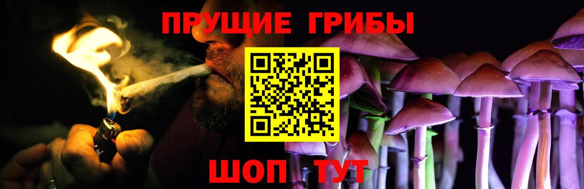 Галлюциногенные грибы Psilocybine cubensis  Вход с VPN  Мелеуз 